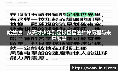 ng娱乐官网